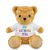 Promotional Victoria Golden Teddy Bear 16cm - Printed Soft Toys - Medium Soft Toy - Main Image